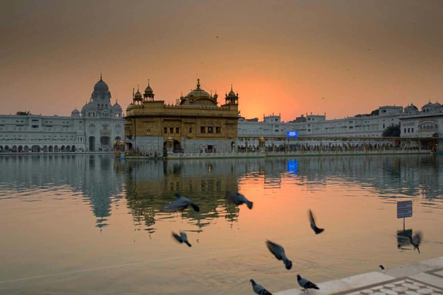 The #golden #temple in all its glory. #openroadindia
