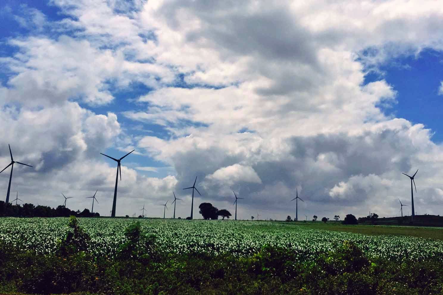 Windmills over the fields. â€” Karnataka Â· Jan 2016