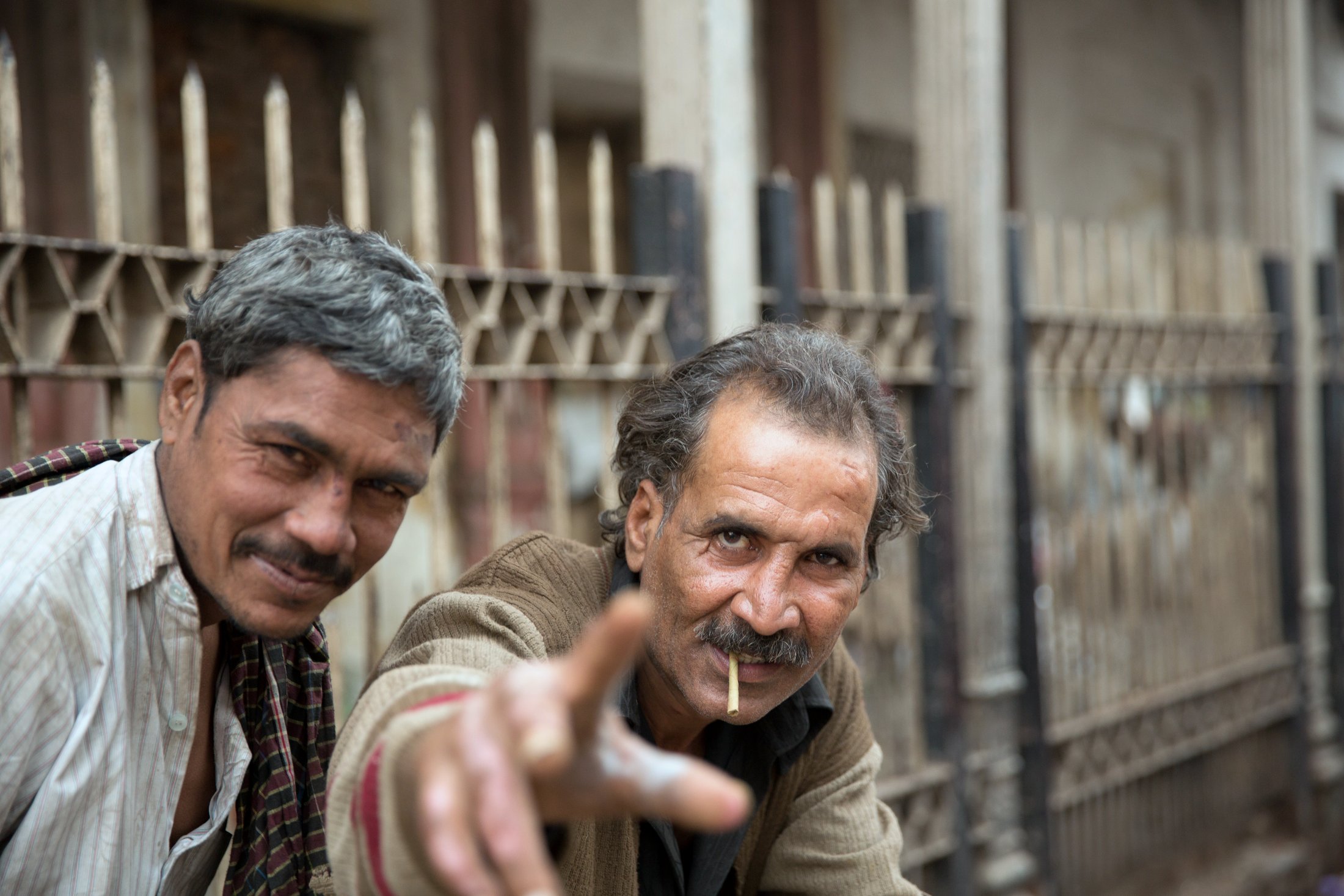 Old friends of the city. â€” New Delhi Â· Nov 2015