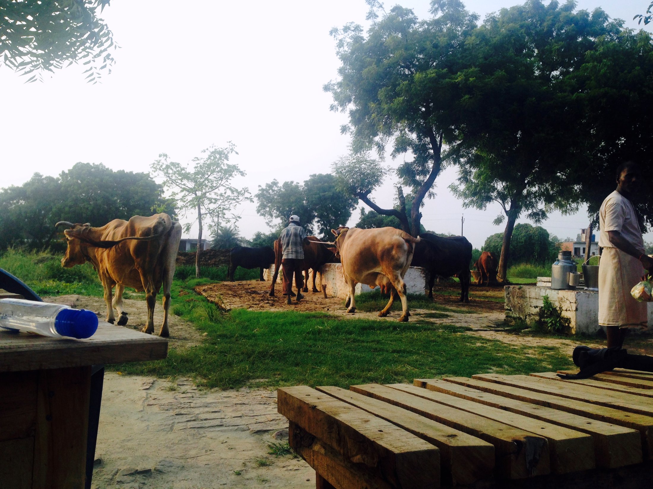 The farm. Â· Oct 2014